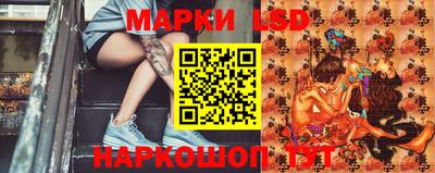 молекула духа Камышлов