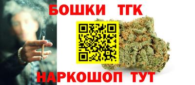 молекула духа Камышлов