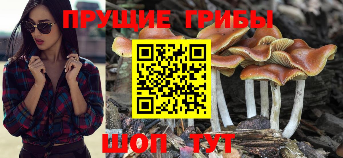 Шарыпово  Вход с VPN  Меф   ГАШ  A PVP СК   ГАШ  Кокаин 